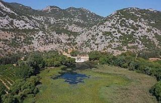 Antalya’nın içme suyu kaynağında korkutan kirlilik