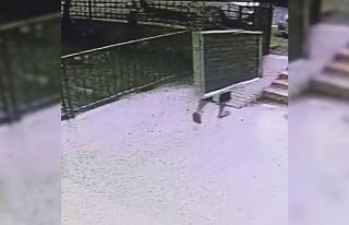 Apartmanın çatısına çıkan hırsız, güneş...
