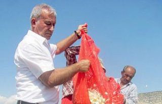 Araban’da sarımsak dikimi başladı