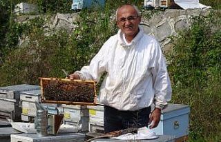 Arı üreticileri 300 ton baldan 60 milyon TL gelir...