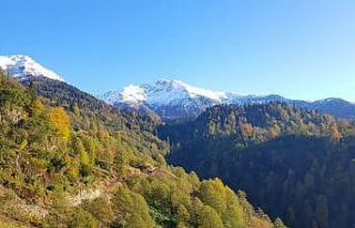 Artvin’de ani bastıran kar yağışının ardından...