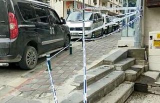 Artvin’de caddeyi arılar bastı