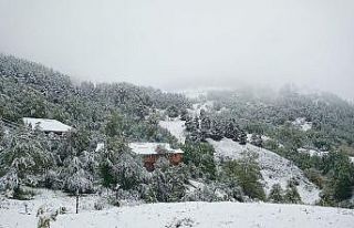 Artvin’de kar yağdı, yaylalar beyaza büründü