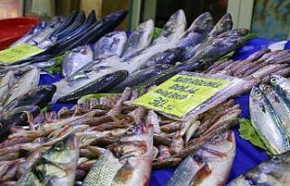 Av sezonu açıldı, yarımada konumundaki Elazığ’da...