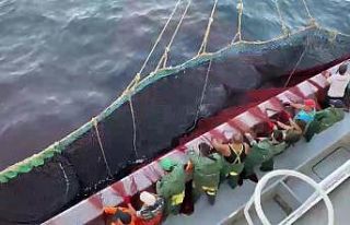 Av yasağı kalktı, tezgâhlar istavritle doldu