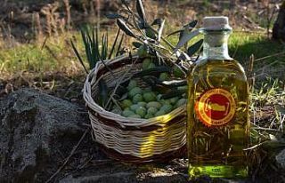 Aydın Memecik Zeytinyağı için Avrupa Birliği...