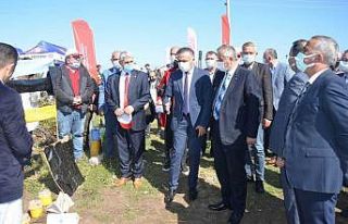 Bafra’da tarla okulu çalışması