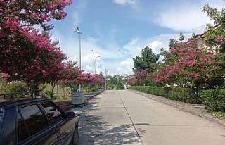 Bahçeşehir renklendi