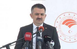 Bakan Pakdemirli, un sanayicilerine analiz hizmeti...