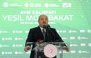 Bakan Varank’tan ‘büyüme’ mesajı