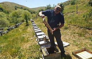 Bal üretiminde önemli düşüş