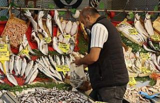 Balık fiyatları düşmek için gün sayıyor