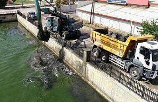 Balık ölümlerinin artmaya başladığı Akarçay’da...