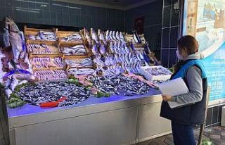 Balık satışı yapan yerler denetlendi