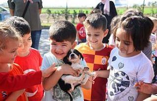 Balıkesir Büyükşehir’den sokaktaki canlar için...