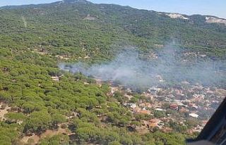 Balıkesir’de iki ayrı noktada orman yangını...