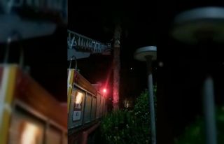 Balıklıgöl’de kedi kurtarma operasyonu