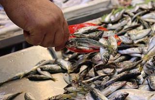 Başkent halinde yaşanan balık bolluğuna vatandaşlardan...