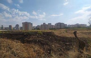 Başkent’te yıldırım düşen otluk alanda yangın...