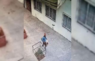 Batman’da hırsızlar fide ağaçlarını çaldı