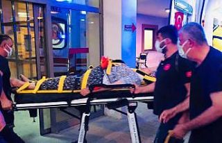 Besni’de incir ağacından düşen kadın yaralandı