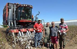 Beyaz altında hasat başladı, üretici ANTBİRLİK...
