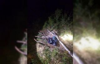 Bıldırcın avlarında kullanılan ses cihazları...