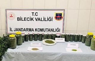 Bilecik’te 12 kilo esrar ele geçirildi