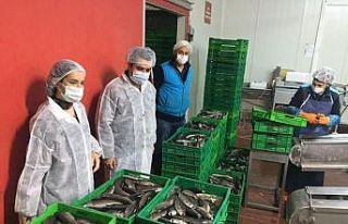 Bilecik’ten Çek Cumhuriyeti ve Rusya’ya alabalık...