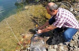 Bilinçsiz balık avcılığı uyarısı