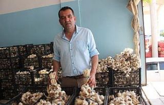 Bilinçsiz tarımsal ilaçlama toplum sağlığını...