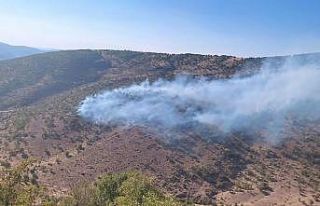 Bingöl’de 2 ayrı noktada çıkan orman yangını...