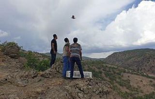 Bingöl’de 400 keklik doğaya salındı