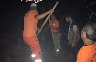 Bingöl’de çıkan orman yangını söndürüldü