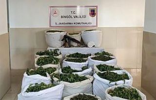 Bingöl’de terörün finans kaynağına büyük...