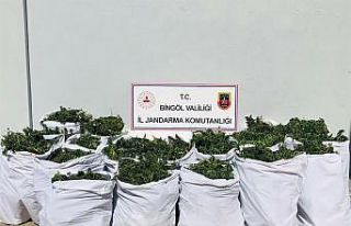 Bingöl’de uyuşturucu operasyonu: 4 gözaltı