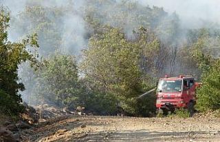 Bingöl’deki orman yangını kontrol altına alındı