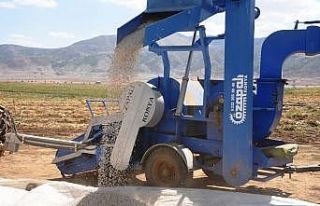 Bitlis’te bu yıl 40 bin ton fasulye hasadı bekleniyor
