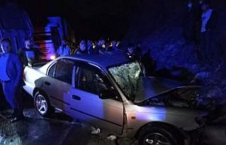 Bitlis’te tır ile otomobil çarpıştı: 2 yaralı