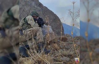 Bitlis’teki 4 teröristin etkisiz hale getirildiği...
