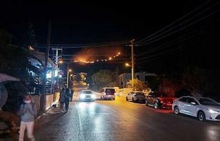 Bodrum’da 2 hektar alan yanında zarar gördü