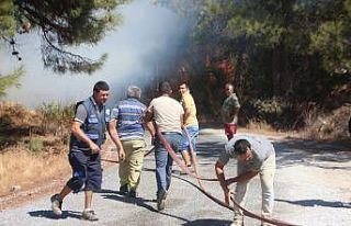 Bodrum’da çıkan yangında 13 hektar alan küle...