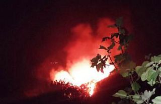 Bodrum’da gece çıkan orman yangını, sabah kontrol...