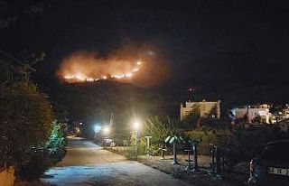 Bodrum’da makilik alanda yangın