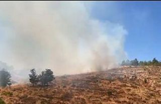 Bodrum’da orman yangını