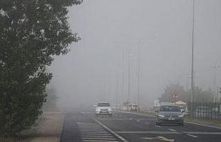 Bolu güne sisle uyandı