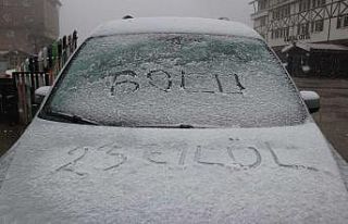 Bolu’ya yılın ilk karı düştü