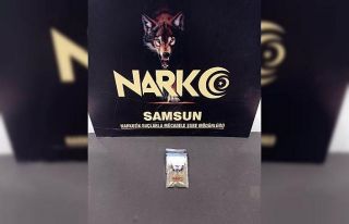 Bonzai ile yakalanan şahıs gözaltında