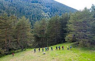Bozkır’ın yaylaları Karadeniz’i aratmıyor