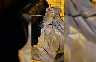 Branda altına gizlenmiş 40 Afgan göçmen yakalandı